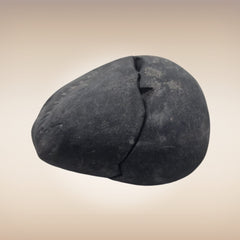 Shri Laxmi Narayan Shaligram - SH119