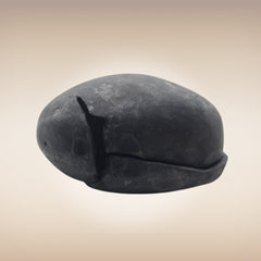 Shri Laxmi Narayan Shaligram - SH120