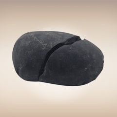 Shri Laxmi Narayan Shaligram - SH123