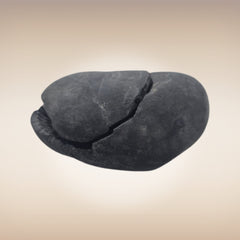 Shri Laxmi Narayan Shaligram - SH126