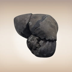 Shri Laxmi Narayan Shaligram - SH128