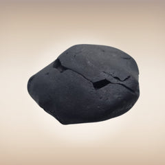 Shri Laxmi Narayan Shaligram - SH132