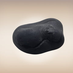 Shri Laxmi Narayan Shaligram - SH135