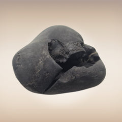 Shri Laxmi Narayan Shaligram - SH147
