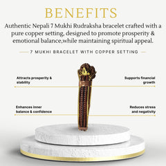 7 Mukhi Rudraksha Nepali Bracelet with Copper Setting