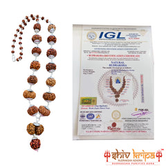 1-14 Muki Nepali Rudraksha Sarv Sidha Mala