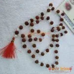 Rudraksha and Sphatik Mala 54+54+1=109 Beads