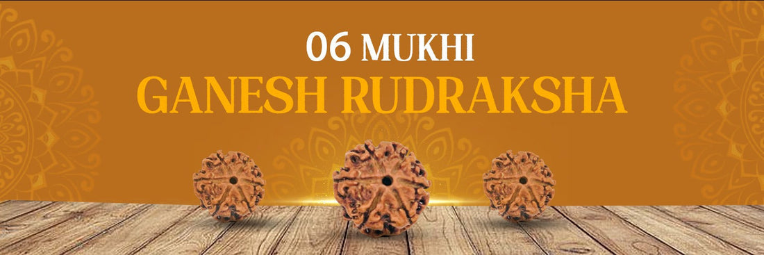 6 mukhi ganesh rudraksha benefits