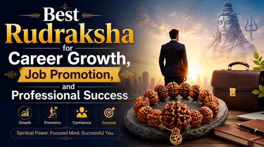 Best Rudraksha for Career Growth & Job Promotion