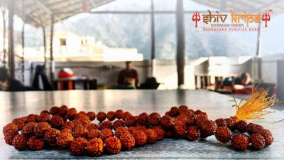 Benefits Of Wearing 5 Mukhi Rudraksha