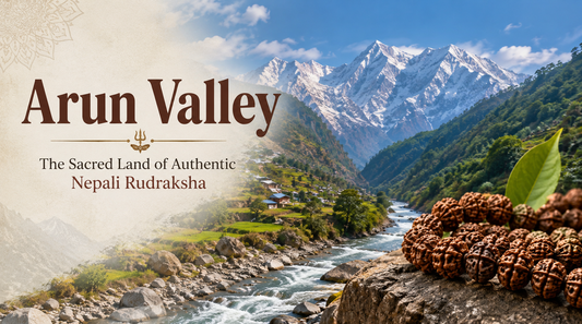 Arun Valley Rudraksha
