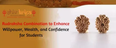 Rudraksha Combination to Enhance Willpower, Wealth, and Confidence for Students