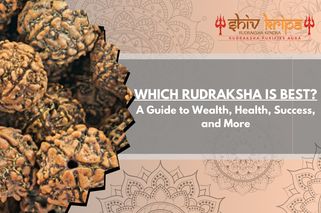 Which Rudraksha is Best? A Guide to Wealth, Health, Success, and More ...