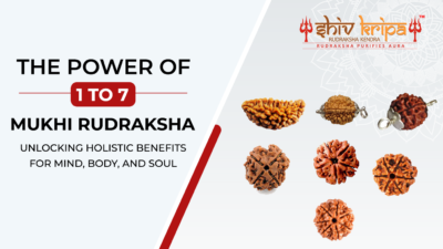 The Power of 1 to 7 Mukhi Rudraksha: Unlocking Holistic Benefits for Mind, Body, and Soul