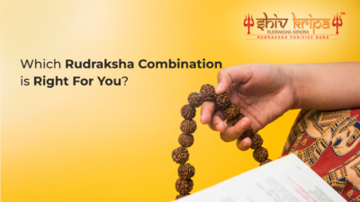 Which Rudraksha Combination is Right For You?