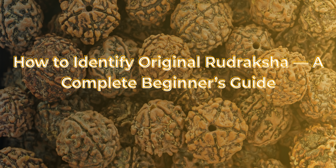 how to identify original rudraksha​