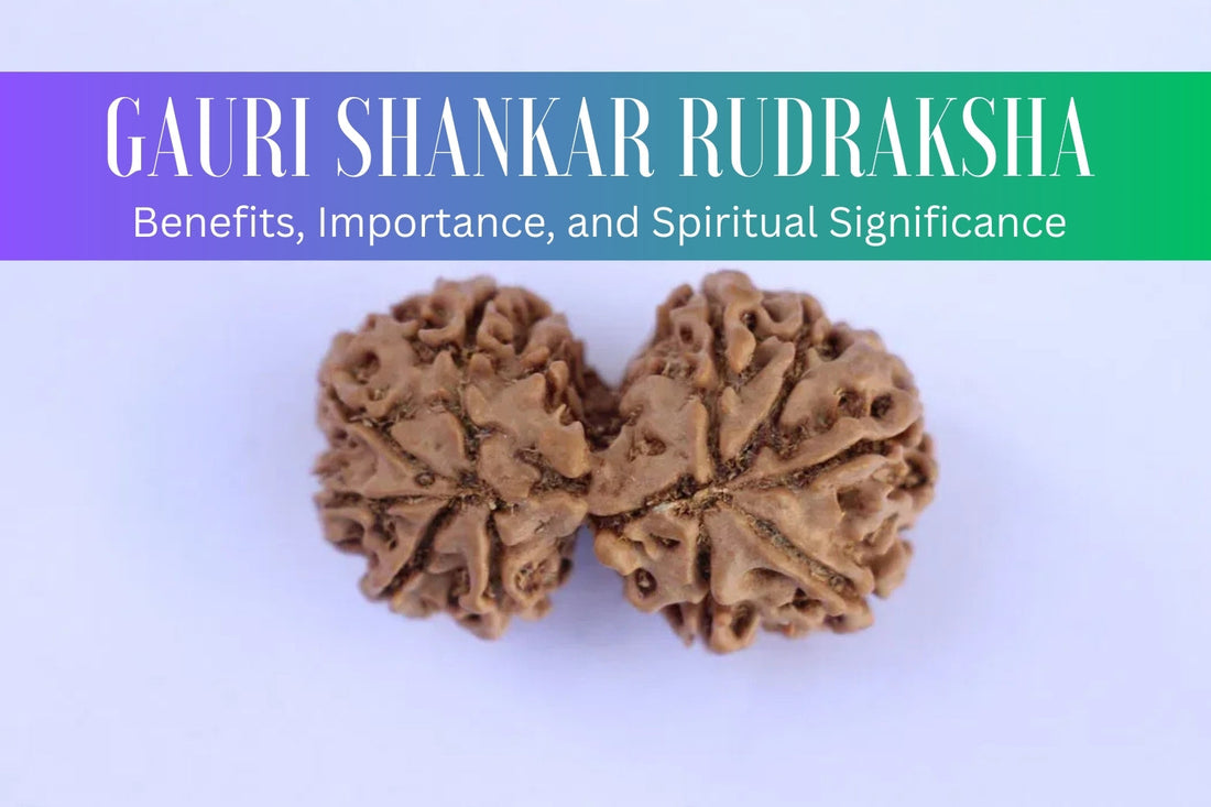 Gauri Shankar Rudraksha Benefits