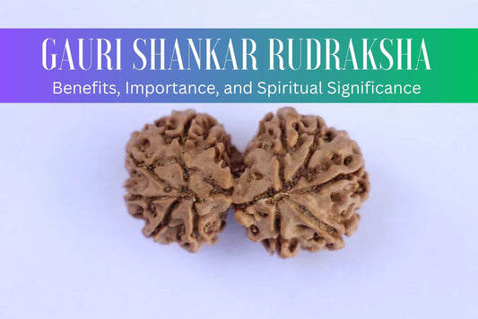 Gauri Shankar Rudraksha Benefits