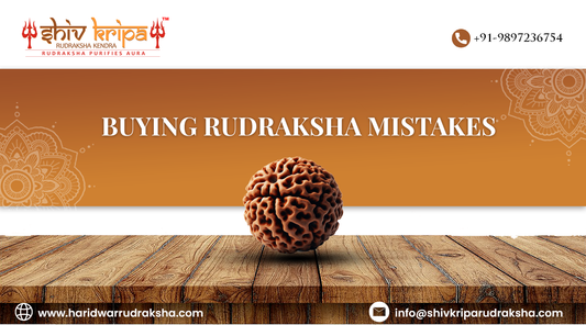 buying Rudraksha mistakes
