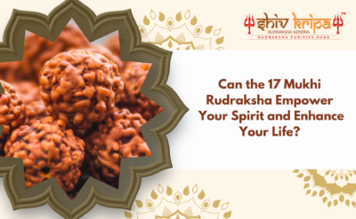 Can the 17 Mukhi Rudraksha Empower Your Spirit and Enhance Your Life?