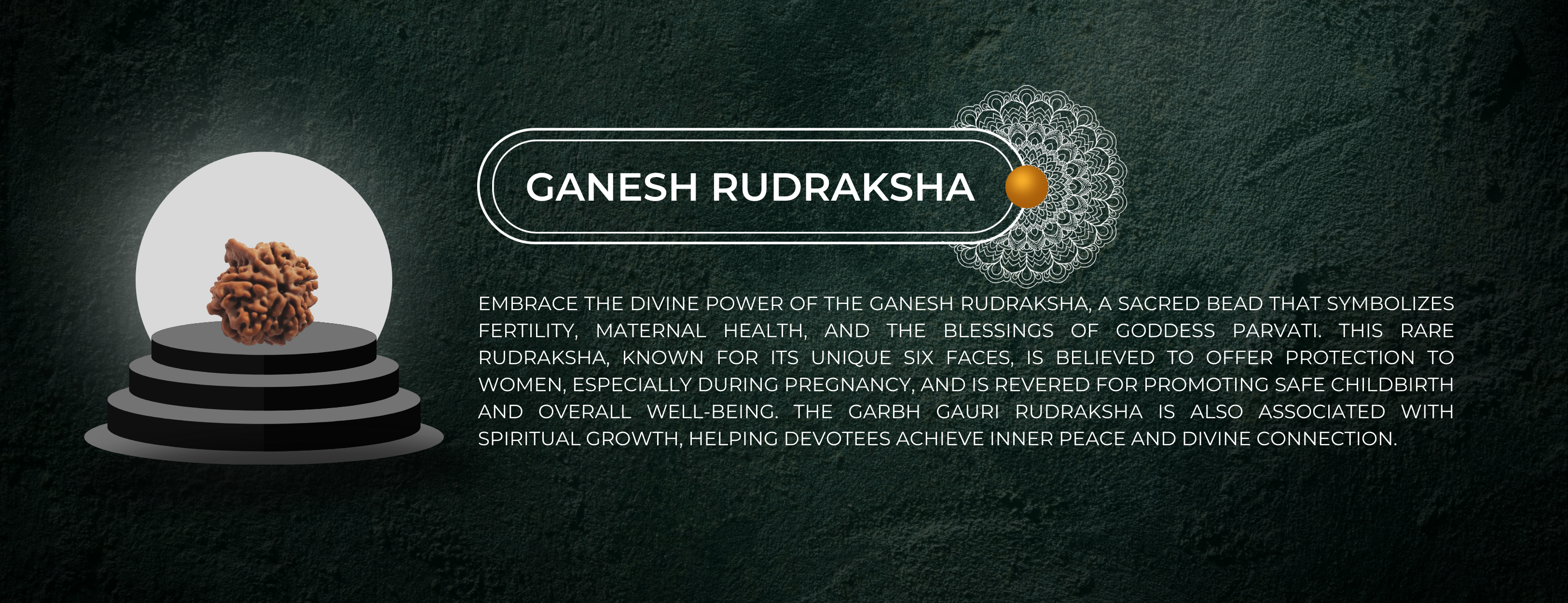 Ganesh Rudraksha