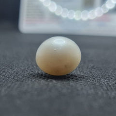 South Sea Pearl (Moti) | Certified Natural Pearl 9.89 Carat