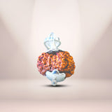 13 Mukhi Rudraksha (Indonesian)