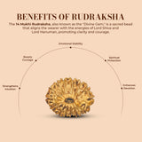 14 Mukhi Rudraksha (Indonesian)