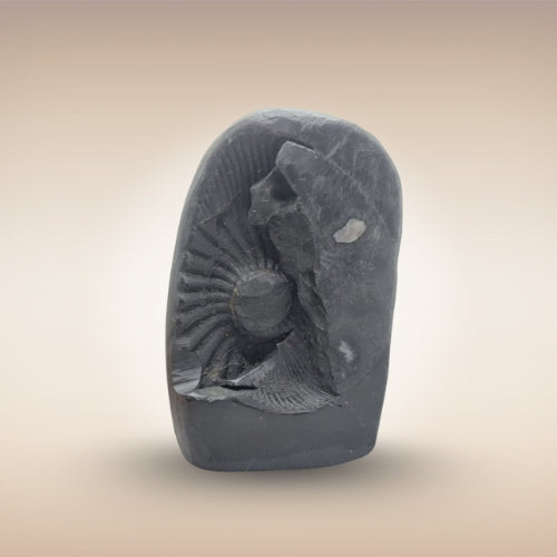 Shri Kurma Avatar Shaligram (Tortoise Incarnation of Lord Vishnu)