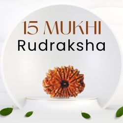 15 Mukhi Rudraksha – The Bead of Emotional Healing
