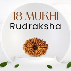 18 Mukhi Rudraksha – The Bead of Earth Energy
