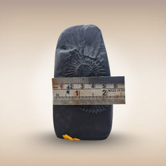 Shri Ram Shila (Rama Avatar of Lord Vishnu)