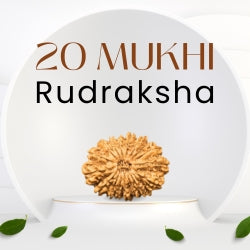 Slide 20