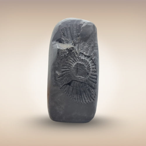 Shri Ram Shila (Rama Avatar of Lord Vishnu)