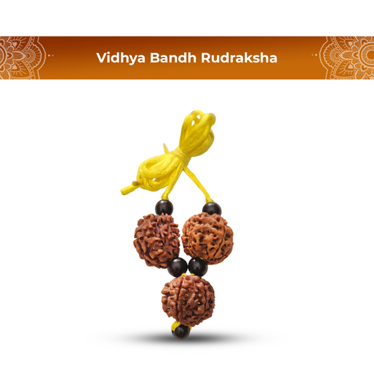 Vidya Bandh