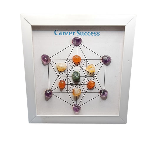 Career Success Stones