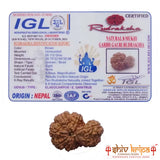 Garbh Gauri ( Nepali ) - Medium
