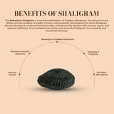 Mahalaxmi Shaligram