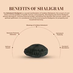 Mahalaxmi Shaligram
