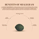 Santaan Gopal Shaligram