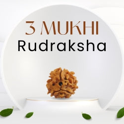 3 Mukhi Rudraksha – The Bead of Purification