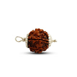 5 Mukhi Rudraksha (Nepali) - Regular