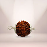 5 Mukhi Rudraksha (Nepali) - Regular