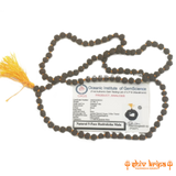 Real 5 Mukhi Rudraksha Black Color Mala 108+1