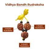 Vidya Bandh