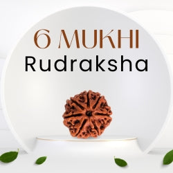  6 Mukhi Rudraksha – The Bead of Willpower