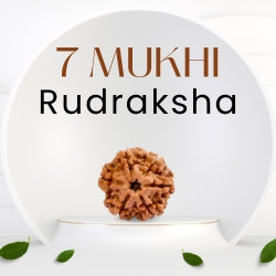 Moon Rakisha Free Rudraksha Calculator as per Moon Sign and Concern – Shiv Kripa ...