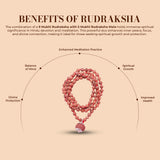 9 Mukhi Rudraksha With 5 Mukhi Rudraksha Mala