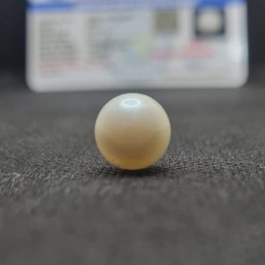 South Sea Pearl (Moti) | Certified Natural Pearl 7.58 Carat