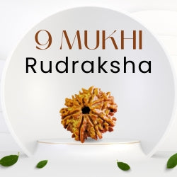 9 Mukhi Rudraksha – The Bead of Energy